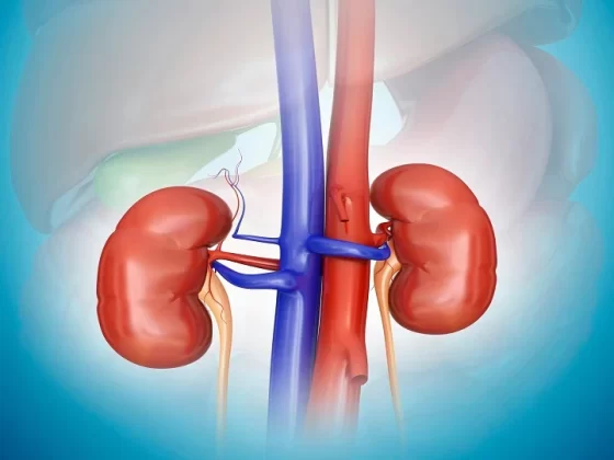 Kidney Ke Rog Aur Inka Upchar